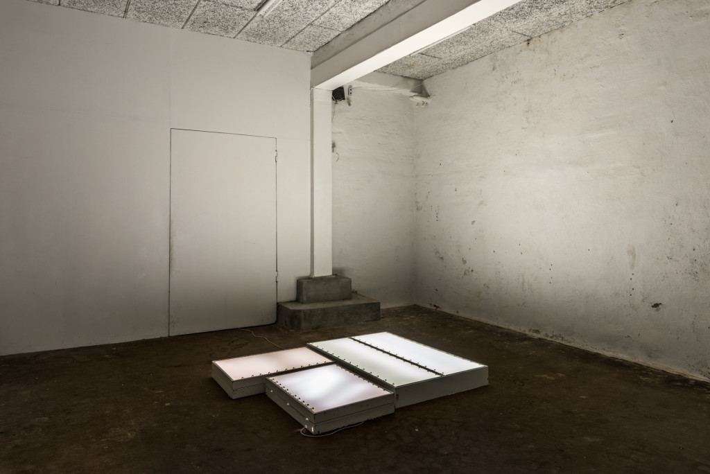 christian-bang-jensen_katabasis-20-1-not-titeled-yet2013-x-ray-panels