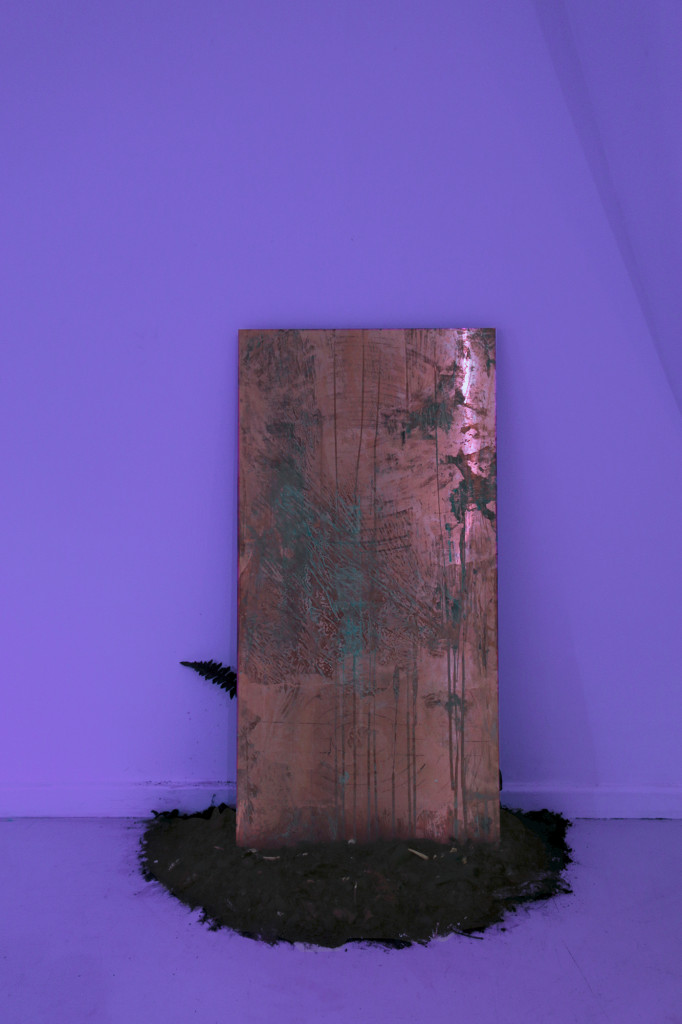11COMPOST_Monitor, 2018, ChristianBangJensen