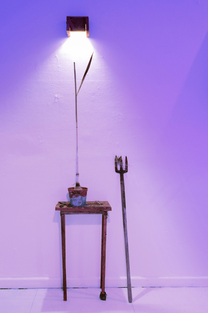 3COMPOST_Graft, 2018DanielSeferianSpies