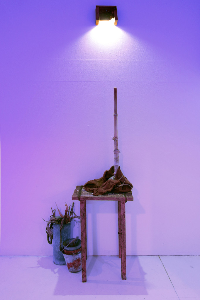 4COMPOST_Transplant, 2018DanielSeferianSpies