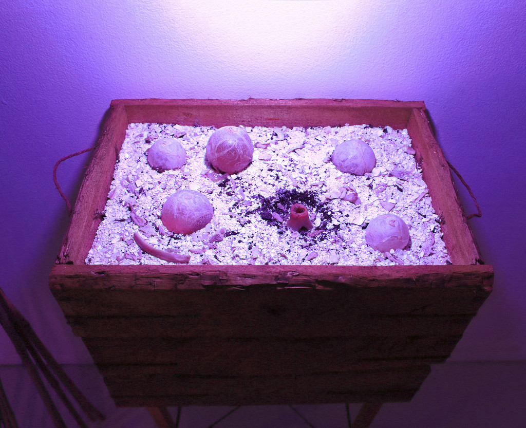 8COMPOST_Spawn_Detail, DanielSeferianSpies